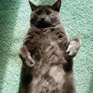 Meet your Posher, Jeri